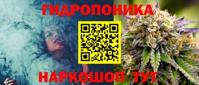 СК Старая Купавна