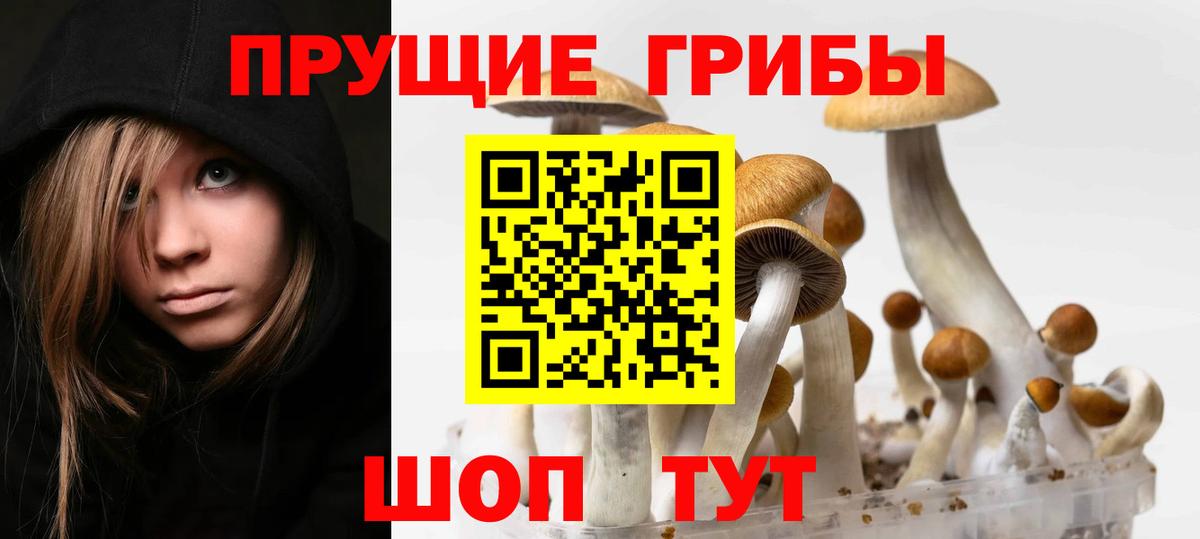Меф МЯУ МЯУ кристаллы  Меф МЯУ МЯУ  Кокаин  Пугачёв  Марихуана  Вход с VPN  Альфа ПВП СОЛЬ  