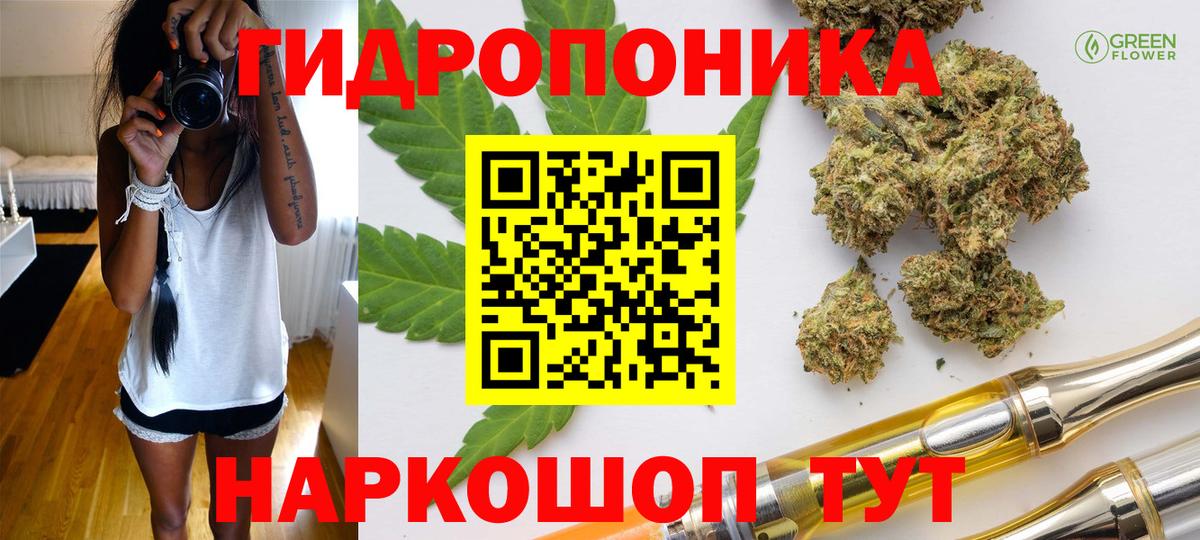 Пугачёв  Каннабис конопля  Вход с VPN  Канабис индика 